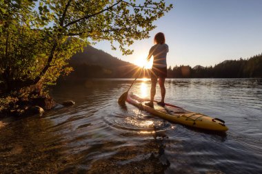 Adventurous Woman Paddling on a Paddle Board in a peaceful lake. Sunny Sunset. Hicks Lake, Sasquatch Provincial Park near Harrison Hot Springs, British Columbia, Canada.