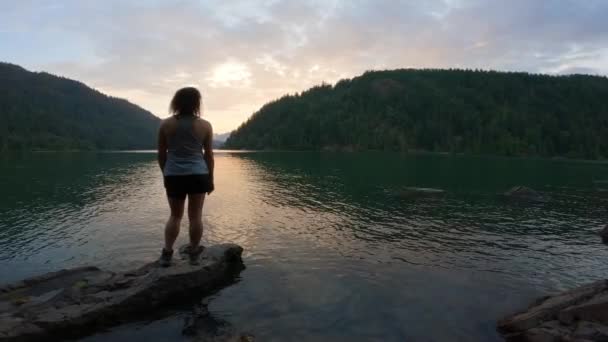 Adventurous Woman Hiking Canadian Nature Harrison River British Columbia Canada — стоковое видео