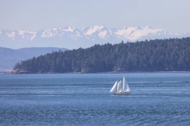 Sailboat in Canadian Landscape by the ocean and mountains. Summer Season. Gulf Islands near Vancouver Island, British Columbia, Canada. Canadian Landscape.