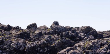 Rugged Rocks on a rocky shore on the West Coast of Pacific Ocean. Summer Morning Sky. Ucluelet, Vancouver Island, British Columbia, Canada. Nature Background