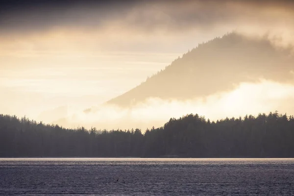 Tofino Vancouver Island British Columbia Canada View Canadian Mountain Landscape — Stok fotoğraf