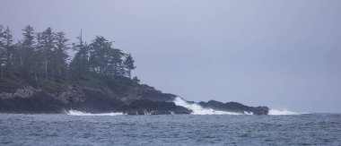 Pasifik Okyanusu 'nun batı kıyısındaki Rocky Shore. Tofino, Vancouver Adası, British Columbia, Kanada.