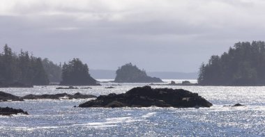 Rugged Rocks on a rocky shore on the West Coast of Pacific Ocean. Summer Morning Sky. Ucluelet, Vancouver Island, British Columbia, Canada. Nature Background