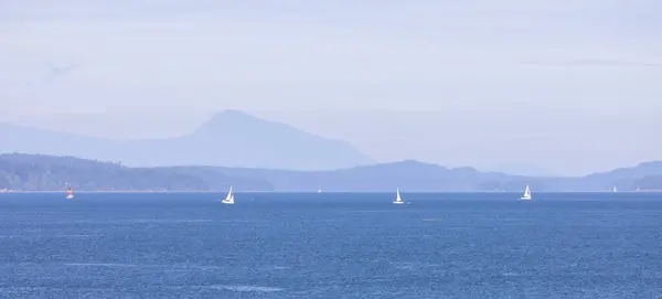 Canadian Landscape Ocean Mountains Summer Season Gulf Islands Vancouver Island — ストック写真