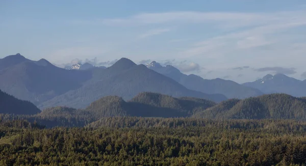 Green Trees Mountain Landscape Pacific Ocean West Coast Tofino Vancouver — Stockfoto