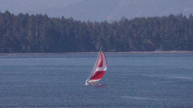 Sailboat Sailing near Gulf Islands near Vancouver Island, British Columbia, Canada. Canadian Landscape.