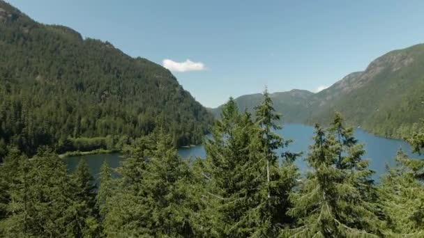 Aerial View Cameron Lake Vibrant Sunny Day Vancouver Island British — Video Stock