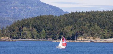 Sailboat in Canadian Landscape by the ocean and mountains. Summer Season. Gulf Islands near Vancouver Island, British Columbia, Canada. Canadian Landscape.