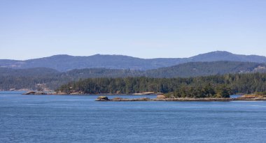 Canadian Landscape by the ocean and mountains. Summer Season. Gulf Islands near Vancouver Island, British Columbia, Canada. Canadian Landscape.