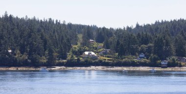Canadian Landscape by the ocean and mountains. Summer Season. Gulf Islands near Vancouver Island, British Columbia, Canada. Canadian Landscape.