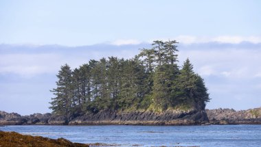 Rugged Rocks on a rocky shore on the West Coast of Pacific Ocean. Summer Morning Sky. Ucluelet, Vancouver Island, British Columbia, Canada. Nature Background
