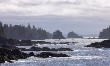 Rugged Rocks on a rocky shore on the West Coast of Pacific Ocean. Summer Morning Sky. Ucluelet, Vancouver Island, British Columbia, Canada. Nature Background