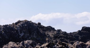 Rugged Rocks on a rocky shore on the West Coast of Pacific Ocean. Summer Morning Sky. Ucluelet, Vancouver Island, British Columbia, Canada. Nature Background