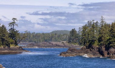Rugged Rocks on a rocky shore on the West Coast of Pacific Ocean. Summer Morning Sky. Ucluelet, Vancouver Island, British Columbia, Canada. Nature Background