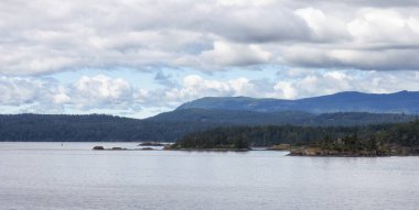 Canadian Landscape by the ocean and mountains. Summer Season. Gulf Islands near Vancouver Island, British Columbia, Canada. Canadian Landscape.