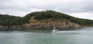 Canadian Landscape by the ocean and mountains. Summer Season. Gulf Islands near Vancouver Island, British Columbia, Canada. Canadian Landscape.