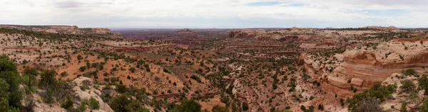 Scenic Panoramic View of American Landscape and Red Rock Mountains in Desert Canyon. Colorful Sky. Canyonlands National Park. Utah, United States. Nature Background Panorama