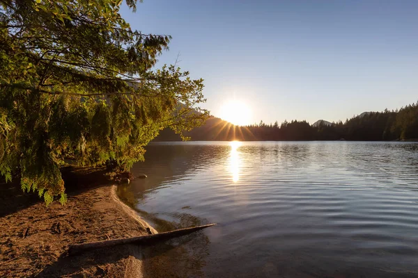 カナダの自然景観についての晴れた日 ヒックスレイク サッカッチ州立公園ハリソン温泉の近く ブリティッシュコロンビア州 カナダ — ストック写真