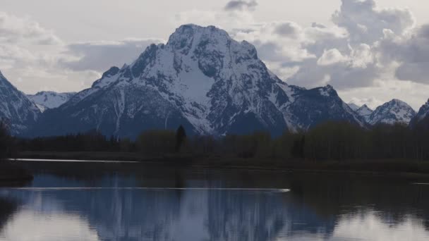 River Surrounded Trees Mountains American Landscape Snake River Oxbow Bend — Vídeo de Stock