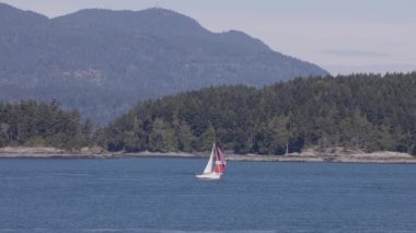 Sailboat Sailing near Gulf Islands near Vancouver Island, British Columbia, Canada. Canadian Landscape.