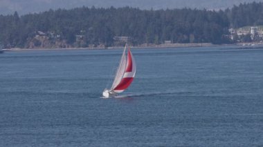 Gulf Islands, British Columbia, Canada - July 14, 2022: Sailboat and BC Ferries Passing By the islands on the West Coast of Pacific Ocean.