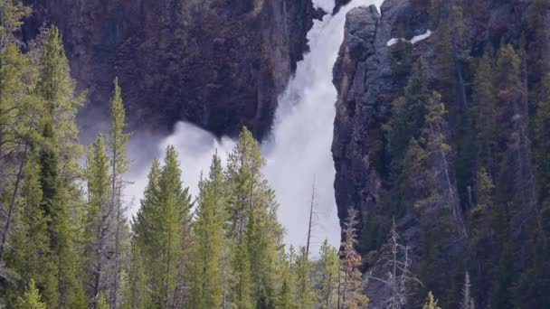 Cachoeira Árvores Paisagem Americana Parque Nacional Yellowstone Wyoming Estados Unidos — Vídeo de Stock