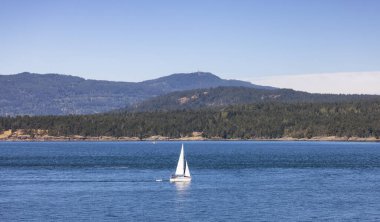 Sailboat in Canadian Landscape by the ocean and mountains. Summer Season. Gulf Islands near Vancouver Island, British Columbia, Canada. Canadian Landscape.