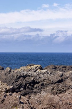 Rugged Rocks on a rocky shore on the West Coast of Pacific Ocean. Summer Morning Sky. Ucluelet, Vancouver Island, British Columbia, Canada. Nature Background