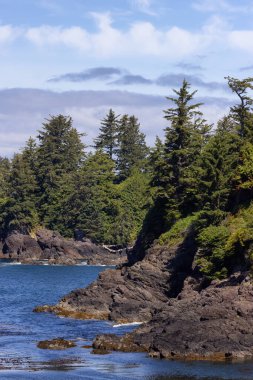 Rugged Rocks on a rocky shore on the West Coast of Pacific Ocean. Summer Morning Sky. Ucluelet, Vancouver Island, British Columbia, Canada. Nature Background