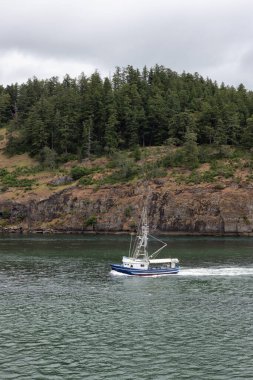 Canadian Landscape by the ocean and mountains. Summer Season. Gulf Islands near Vancouver Island, British Columbia, Canada. Canadian Landscape.