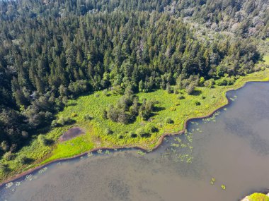 Yeşil Kanada Doğa Manzarası 'nın havadan görünüşü. Dağların etrafındaki göl. Güneşli bir yaz günü. Harrison Kaplıcaları, British Columbia, Kanada.