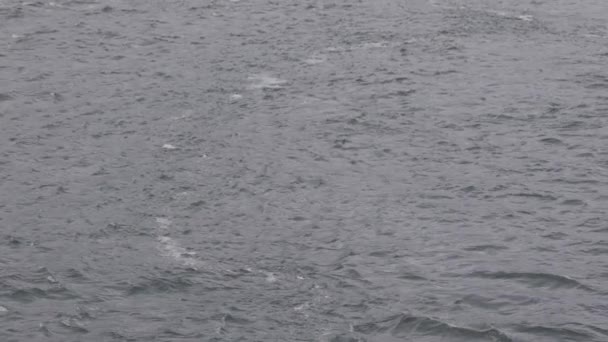 阴沉沉的日子里的海水 不列颠哥伦比亚省 加拿大 慢动作 — 图库视频影像