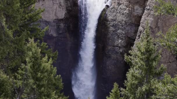 Cachoeira Árvores Paisagem Americana Parque Nacional Yellowstone Wyoming Estados Unidos — Vídeo de Stock