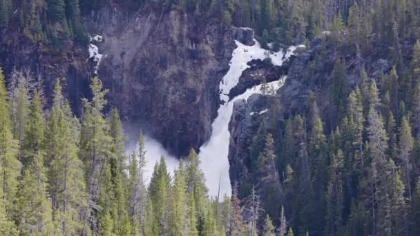 Vodopád Stromy Americké Krajině Yellowstonský Národní Park Wyomingu Spojené Státy — Stock video