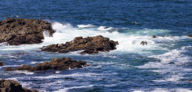 Rugged Rocks on a rocky shore on the West Coast of Pacific Ocean. Summer Morning Sky. Ucluelet, Vancouver Island, British Columbia, Canada. Nature Background