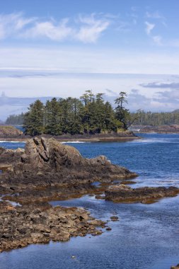 Rugged Rocks on a rocky shore on the West Coast of Pacific Ocean. Summer Morning Sky. Ucluelet, Vancouver Island, British Columbia, Canada. Nature Background