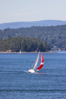 Sailboat in Canadian Landscape by the ocean and mountains. Summer Season. Gulf Islands near Vancouver Island, British Columbia, Canada. Canadian Landscape.