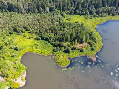 Yeşil Kanada Doğa Manzarası 'nın havadan görünüşü. Dağların etrafındaki göl. Güneşli bir yaz günü. Harrison Kaplıcaları, British Columbia, Kanada.