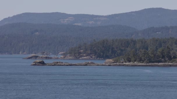 Islands Surrounded Ocean Mountains Summer Season Gulf Islands Vancouver Island — Video