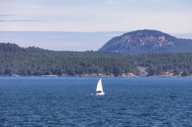 Sailboat in Canadian Landscape by the ocean and mountains. Summer Season. Gulf Islands near Vancouver Island, British Columbia, Canada. Canadian Landscape.