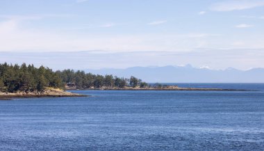 Canadian Landscape by the ocean and mountains. Summer Season. Gulf Islands near Vancouver Island, British Columbia, Canada. Canadian Landscape.