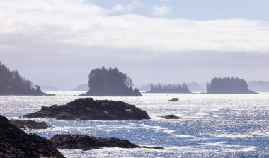 Rugged Rocks on a rocky shore on the West Coast of Pacific Ocean. Summer Morning Sky. Ucluelet, Vancouver Island, British Columbia, Canada. Nature Background