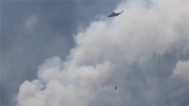 Wildfire Service Helicopter Survolant Forest Fire Smoke Sur Montagne Près — Video