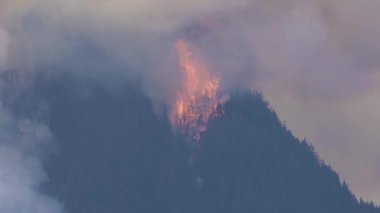 BC Orman Ateşi ve Duman, sıcak ve güneşli bir yaz gününde Umut 'un yakınındaki dağın üzerinde. British Columbia, Kanada. Vahşi ateş doğal felaket. Yavaş Hareket
