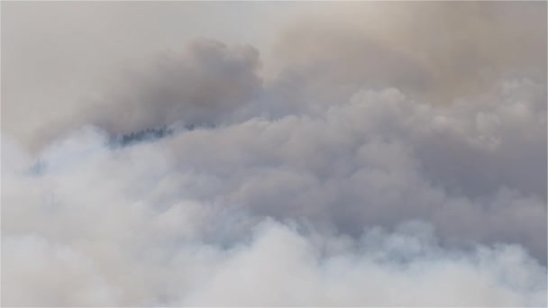 Forest Fire Smoke Sobre Montanha Perto Hope Durante Dia Quente — Vídeo de Stock