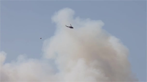 Wildfire Υπηρεσία Ελικόπτερο Που Φέρουν Πάνω Από Την Δάσος Φωτιά — Αρχείο Βίντεο