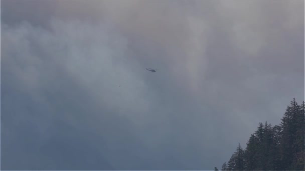 Futótűz Szolgálat Helikopter Repül Erdőtűz Füst Hegyen Közel Hope Egy — Stock videók