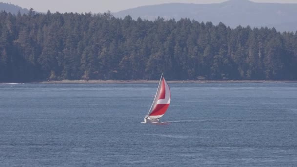 Îles Gulf Colombie Britannique Canada Juillet 2022 Voilier Dans Paysage — Video