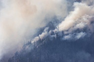 BC Orman Ateşi ve Duman, sıcak ve güneşli bir yaz gününde Umut 'un yakınındaki dağın üzerinde. British Columbia, Kanada. Vahşi yangın doğal afet