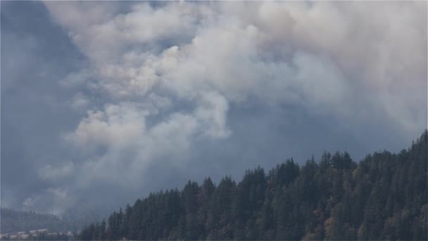 暑い夏の日の間 希望の近くの山の上のBc森林火災と煙 カナダのブリティッシュコロンビア州 野火自然災害 スローモーション — ストック動画
